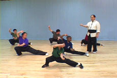 Shaolin Fundamental Training DVD with Dr. Yang, Jwing Ming - Budovideos Inc