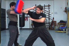 Shaolin Fundamental Training DVD with Dr. Yang, Jwing Ming - Budovideos Inc