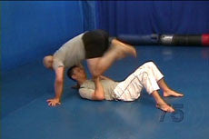 Grappling Drills DVD with Stephan Kesting - Budovideos Inc