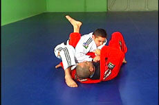 BJJ Ultimate Lessons 11 DVD Set by Gustavo Froes - Budovideos Inc