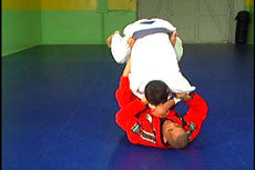 BJJ Ultimate Lessons 11 DVD Set by Gustavo Froes - Budovideos Inc