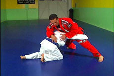 BJJ Ultimate Lessons 11 DVD Set by Gustavo Froes - Budovideos Inc