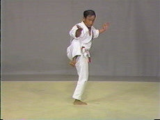 Isshin Ryu Karate 10 DVD Set by Angi Ueza - Budovideos Inc