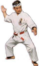 Isshin Ryu Karate 10 DVD Set by Angi Ueza - Budovideos Inc