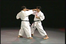 Goju Ryu Technical Series Part 4 DVD by Morio Higaonna - Budovideos Inc