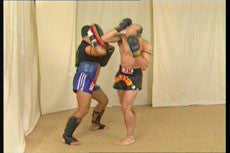Phasom Muay Thai DVD with Marco de Cesaris - Budovideos Inc
