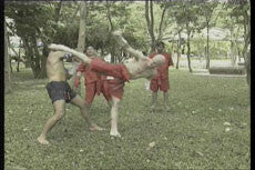 Mae Mai & Look Mai Muay Thai DVD with Marco de Cesaris - Budovideos Inc