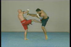 Mae Mai & Look Mai Muay Thai DVD with Marco de Cesaris - Budovideos Inc