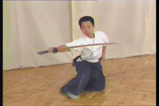 Iaido Vol 1 with Sueyoshi Akeshi DVD - Budovideos Inc