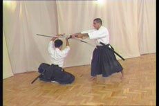 Iaido Vol 1 with Sueyoshi Akeshi DVD - Budovideos Inc