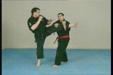 Kyusho Jitsu: Attacking Points on the Leg DVD with Evan Pantazi - Budovideos Inc