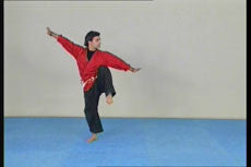 Kajukenbo Evolution DVD with Angel Garcia - Budovideos Inc