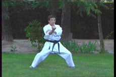 Hirokazu Kanazawa Karate DVD - Budovideos Inc