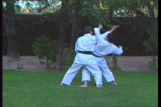 Hirokazu Kanazawa Karate DVD - Budovideos Inc