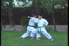 Hirokazu Kanazawa Karate DVD - Budovideos Inc