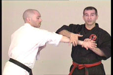Kyusho Jitsu: Attacks to Points on the Head DVD with Evan Pantazi - Budovideos Inc