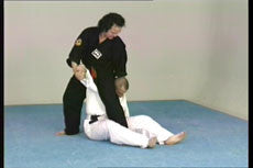 Jiu-jitsu Ryu DVD Vol 1 with Hanspeter Ruesch - Budovideos Inc