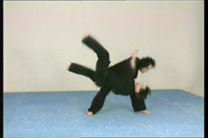 Jiu-jitsu Ryu DVD Vol 1 with Hanspeter Ruesch - Budovideos Inc