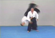 Very Strong Aikido DVD with Jacek Wysocki - Budovideos Inc