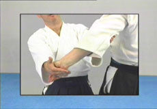 Very Strong Aikido DVD with Jacek Wysocki - Budovideos Inc