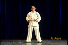 Taiji Sword, Classical Yang Style DVD with Yang, Jwing Ming - Budovideos Inc