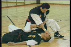 Chin Na DVD with Christian Harfouche - Budovideos Inc