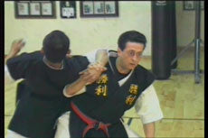 Chin Na DVD with Christian Harfouche - Budovideos Inc