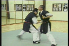 Chin Na DVD with Christian Harfouche - Budovideos Inc