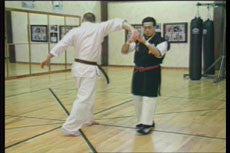 Chin Na DVD with Christian Harfouche - Budovideos Inc