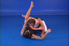 Cesar Gracie Gi-Less Instructional 6 DVD Set - Budovideos Inc