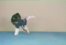 Yoseikan Budo Complete Course DVD with Hiroo Mochizuki - Budovideos Inc