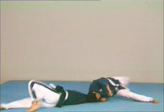 Yoseikan Budo Complete Course DVD with Hiroo Mochizuki - Budovideos Inc