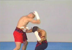 Muay Kaard Chiek DVD with Marco de Cesaris - Budovideos Inc