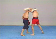 Muay Kaard Chiek DVD with Marco de Cesaris - Budovideos Inc