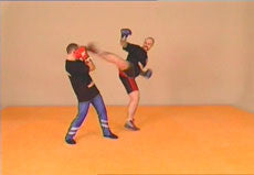 Savate DVD with Fred Rado - Budovideos Inc
