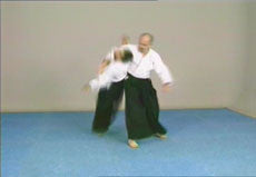 100% Uchi Kaiten Aikido DVD with Jose Isidro - Budovideos Inc