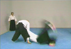 100% Uchi Kaiten Aikido DVD with Jose Isidro - Budovideos Inc