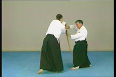 Aikido Defense DVD with Alfonso Longueira - Budovideos Inc