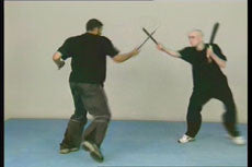Wing Tsun Alliance DVD - Budovideos Inc