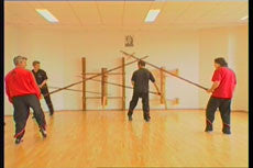 Wing Tsun Alliance DVD - Budovideos Inc