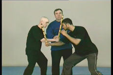 Wing Tsun Alliance DVD - Budovideos Inc