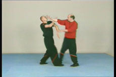 Wing Tsun Alliance DVD - Budovideos Inc