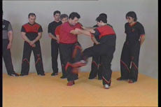 Wing Tsun Re-Evolution Vol 1 DVD with Victor Gutierrez - Budovideos Inc