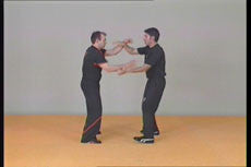 Wing Tsun Re-Evolution Vol 1 DVD with Victor Gutierrez - Budovideos Inc