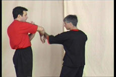 Wing Tsun Right or Wrong? DVD by Leung Ting - Budovideos Inc