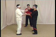 Wing Tsun Right or Wrong? DVD by Leung Ting - Budovideos Inc