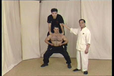 Wing Tsun Right or Wrong? DVD by Leung Ting - Budovideos Inc
