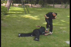 Wing Tsun Lat Sao DVD by Victor Gutierrez - Budovideos Inc