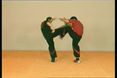 Wing Tsun Wooden Dummy Street Aplications DVD by Víctor Gutierrez - Budovideos Inc