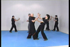 Wing Tsun Chi Sao 1 DVD with Victor Gutierriez - Budovideos Inc